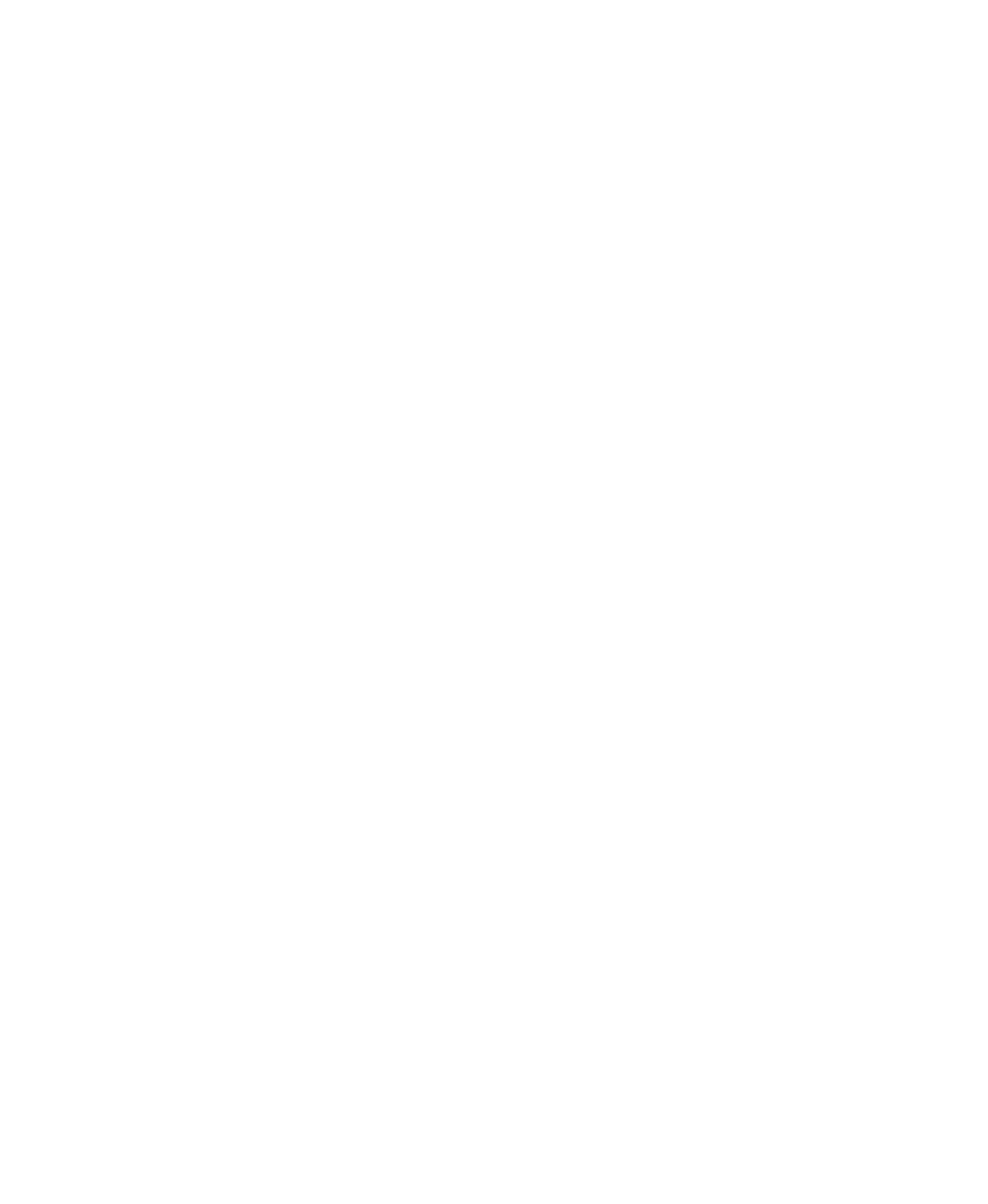 Facetikkun